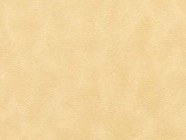 Leather Upholstery 南亞呼吸系列 皮革 沙發皮革 3842 米黃雲彩